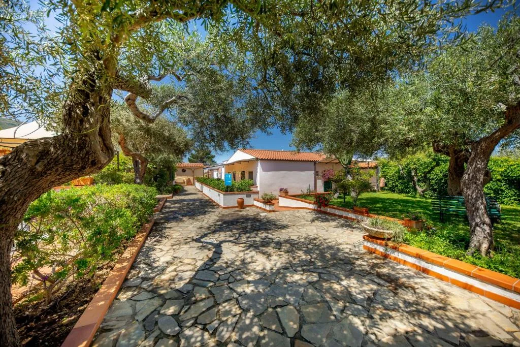 Sentiero in pietra tra ulivi che conduce alle camere immerse nel verde