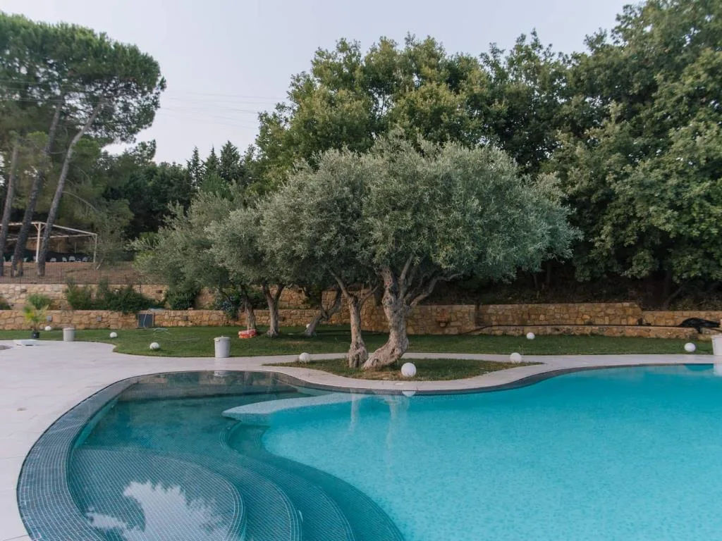 Piscina azzurra circondata da ulivi e prato verde con muretto in pietra