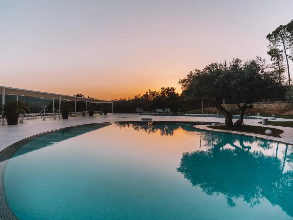 Piscina al tramonto con riflessi del cielo e ulivo sulla sponda