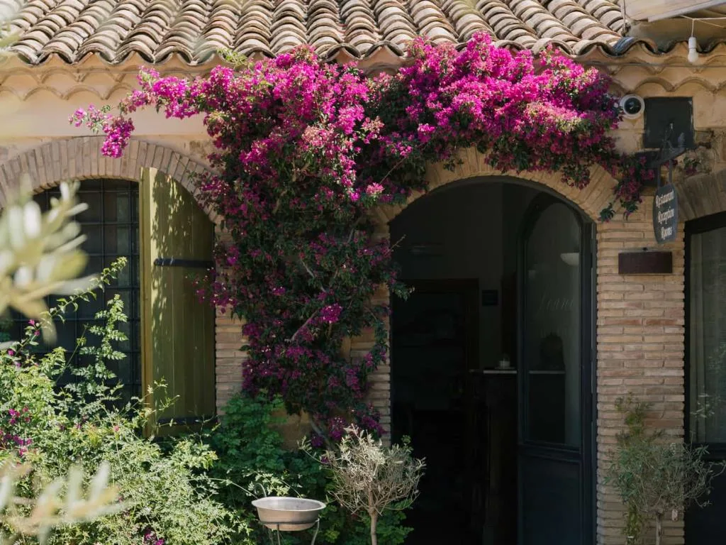 Ingresso ad arco in mattoni ricoperto da bouganville rosa e piante in vaso