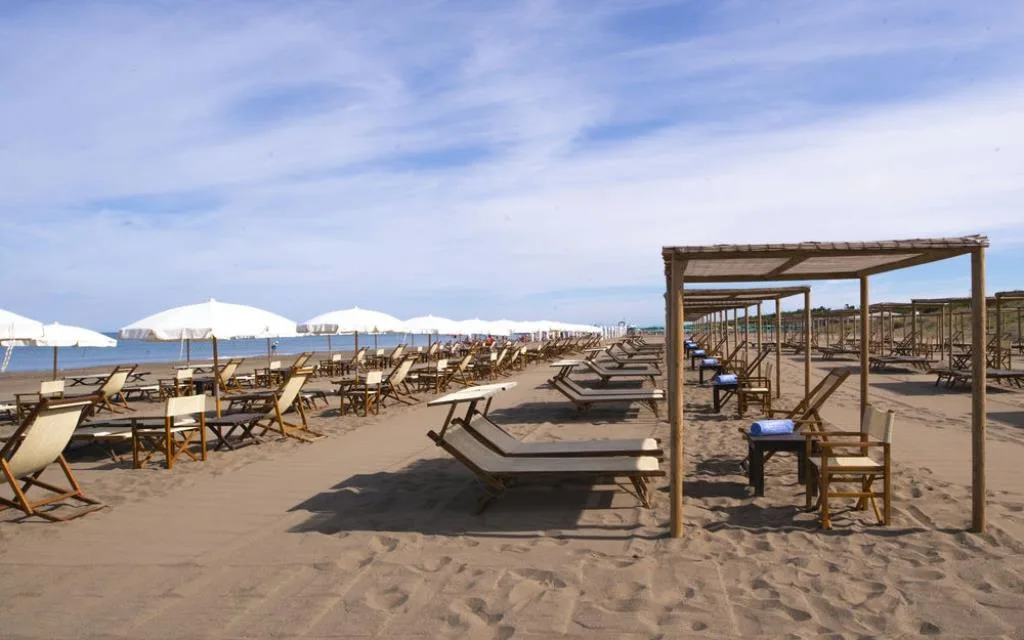 mare
