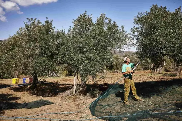 Agriturismo I Moresani