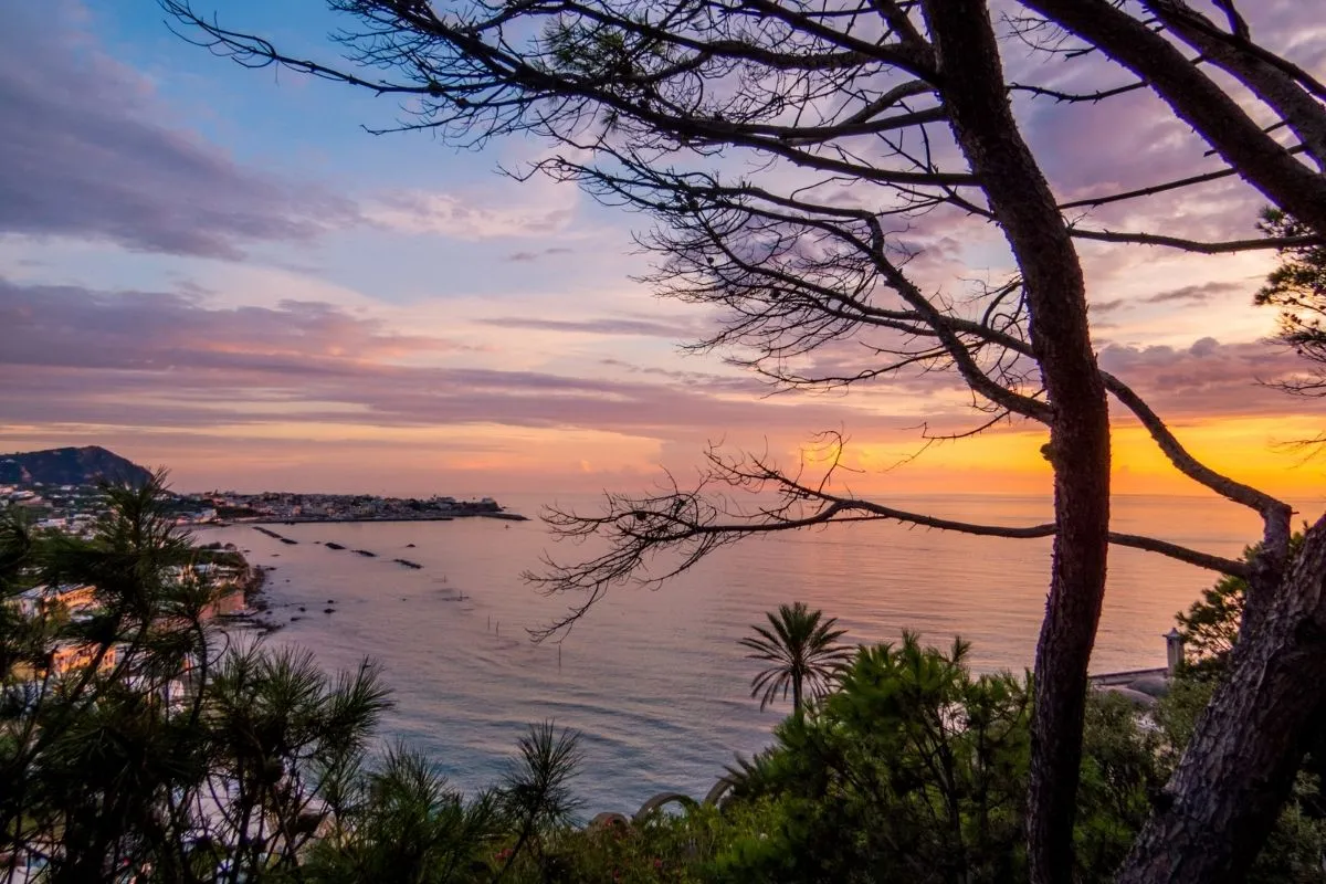 Tramonto colorato sul mare con silhouette di alberi e vista sulla costa