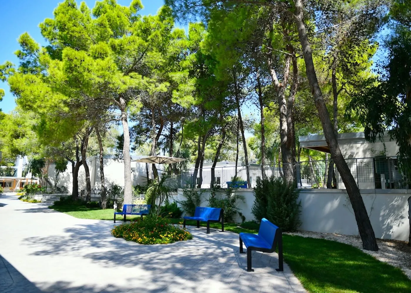 Giardino ombreggiato con panchine blu e alberi di pino