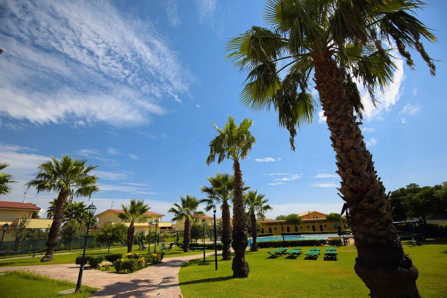 Giardino curato con palme, vialetto e lettini verdi vicino alla piscina dell'hotel