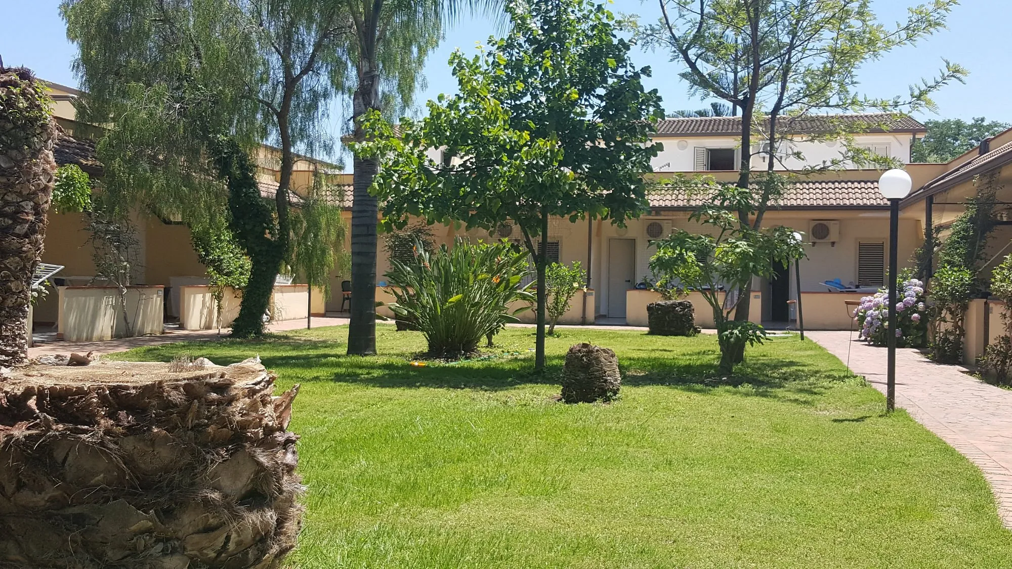 Giardino curato con prato, palme e bungalow gialli