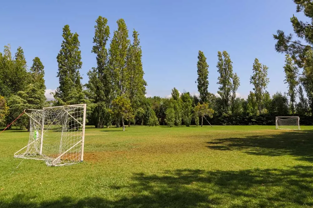 Campo da calcio in erba con porte circondato da alberi alti