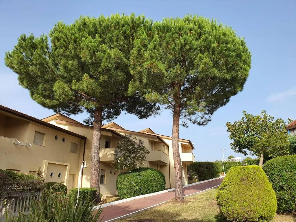 Vialetto del residence con grandi pini marittimi e villette color crema