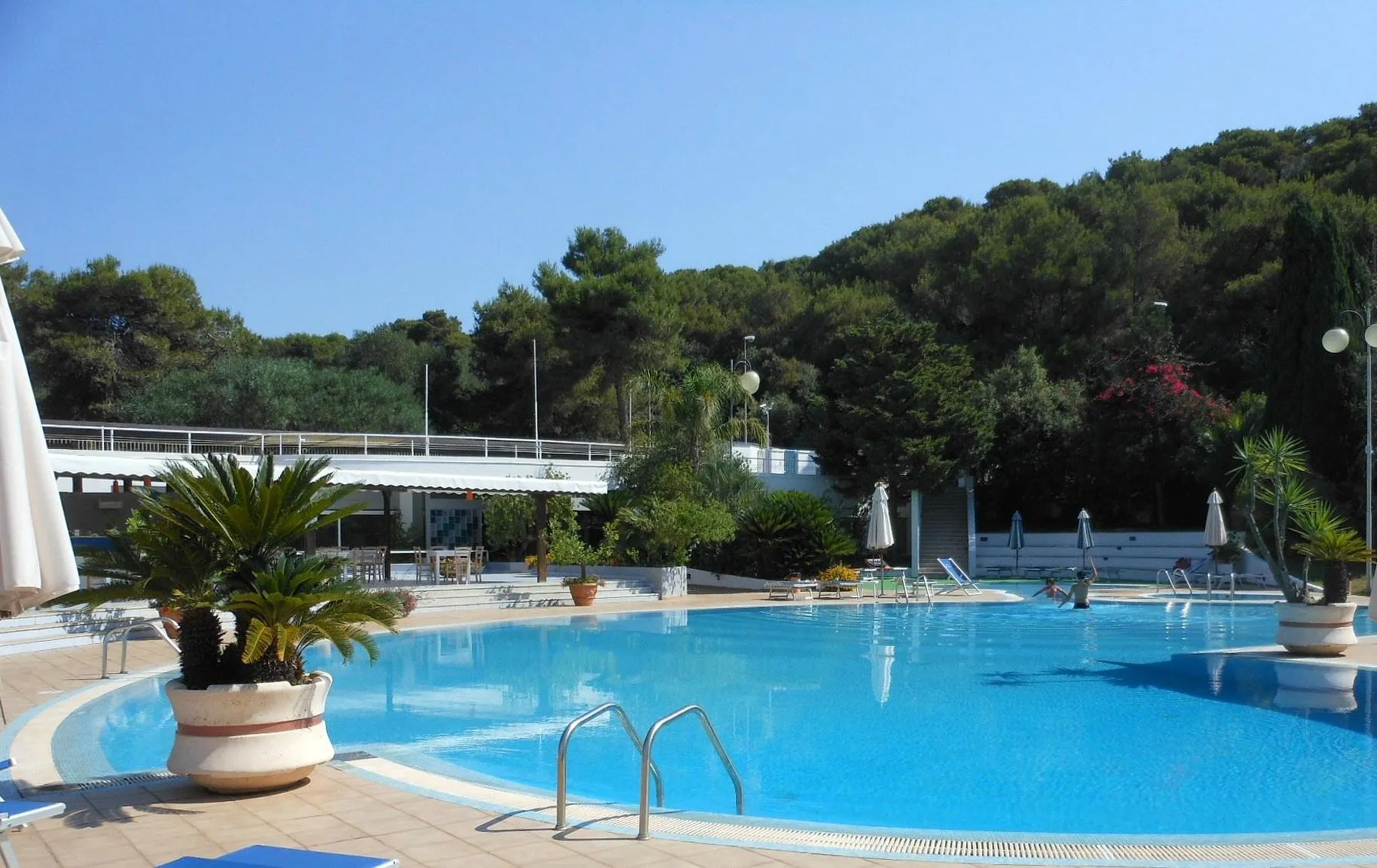 Piscina con vasi di palme ornamentali, solarium piastrellato e collina boscosa sullo sfondo