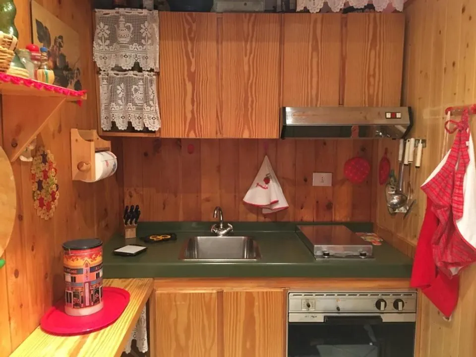 Piccola cucina in stile montano con rivestimento in legno, lavello, piano cottura e forno
