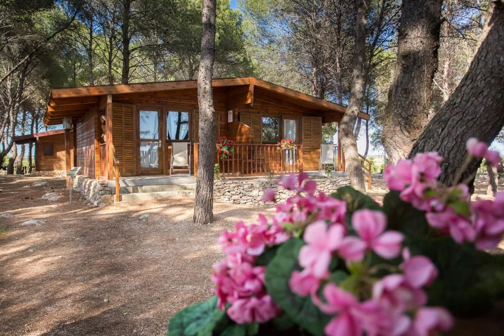 Casetta in legno immersa nella pineta con fiori rosa in primo piano