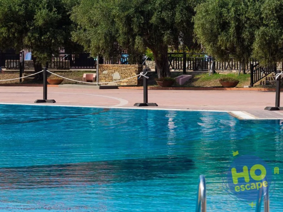 Bordo piscina con acqua azzurra, ulivi e area relax pavimentata