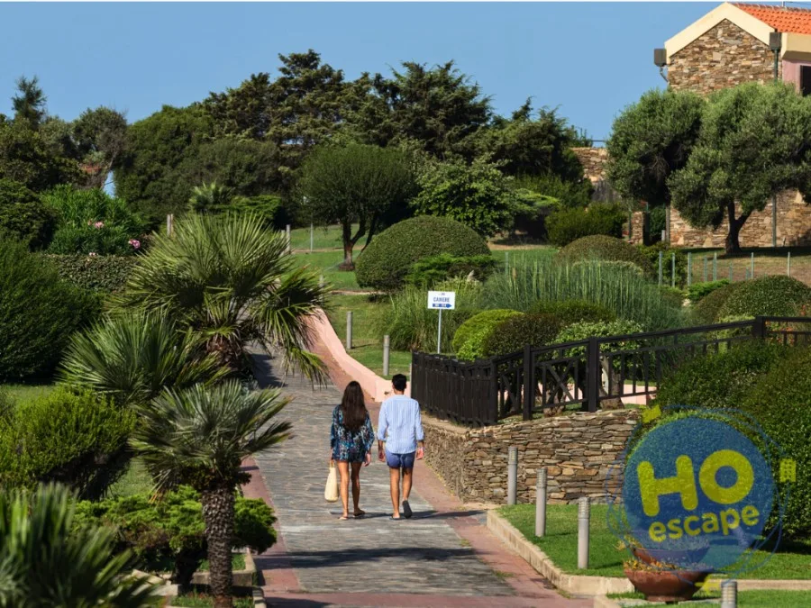 Coppia che passeggia su un vialetto immerso nel giardino curato con palme e siepi