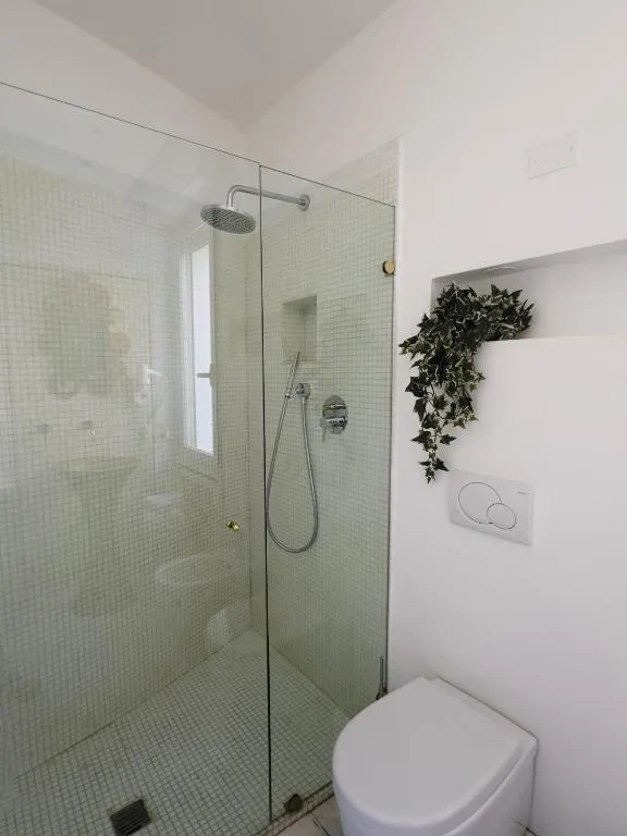 Bagno moderno con doccia in vetro a mosaico e piante decorative