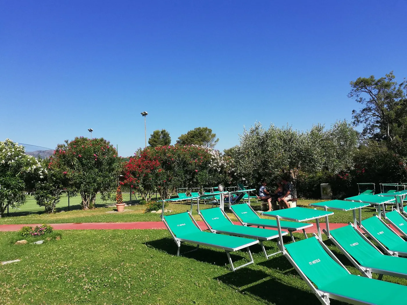Lettini verdi su prato curato con alberi e cespugli fioriti