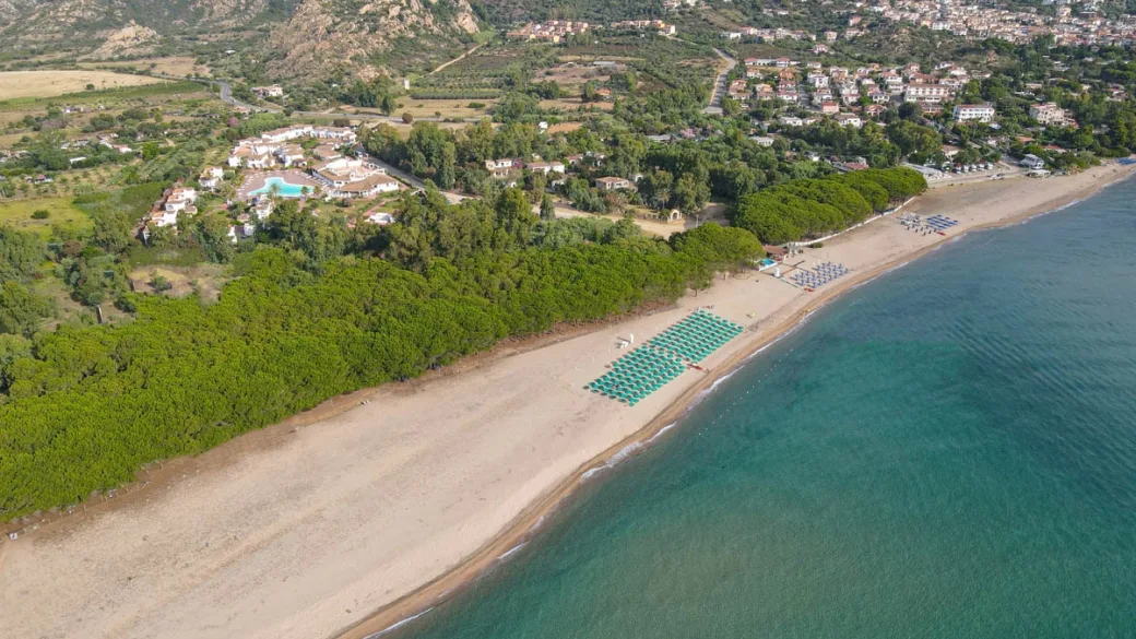Veduta aerea della spiaggia con ombrelloni verdi e pineta vicino al resort