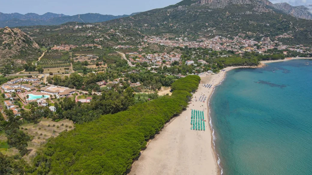 Veduta aerea della costa con spiaggia, pineta e montagne sullo sfondo