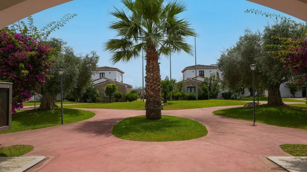 Vialetto del resort con palma centrale e bouganville fioriti