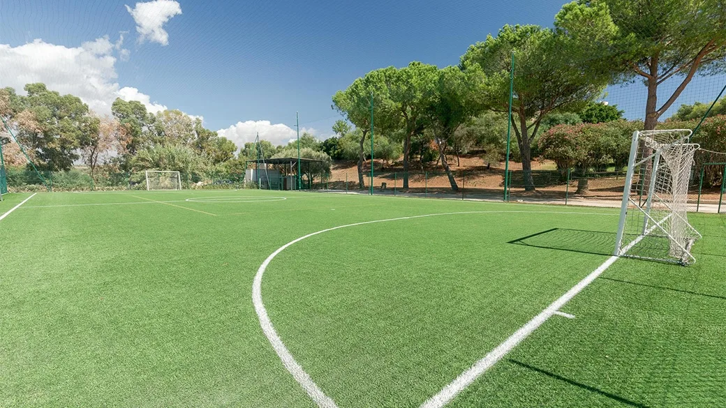Campo da calcio in erba sintetica circondato da pini sotto un cielo sereno