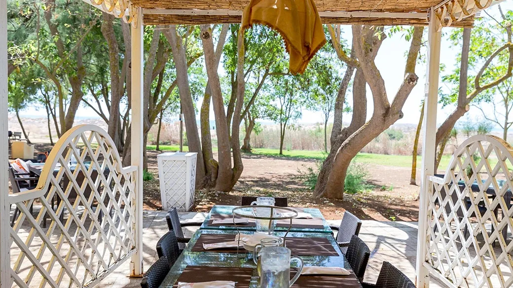 Tavolo da pranzo all'aperto sotto un gazebo con vista sul giardino e gli alberi