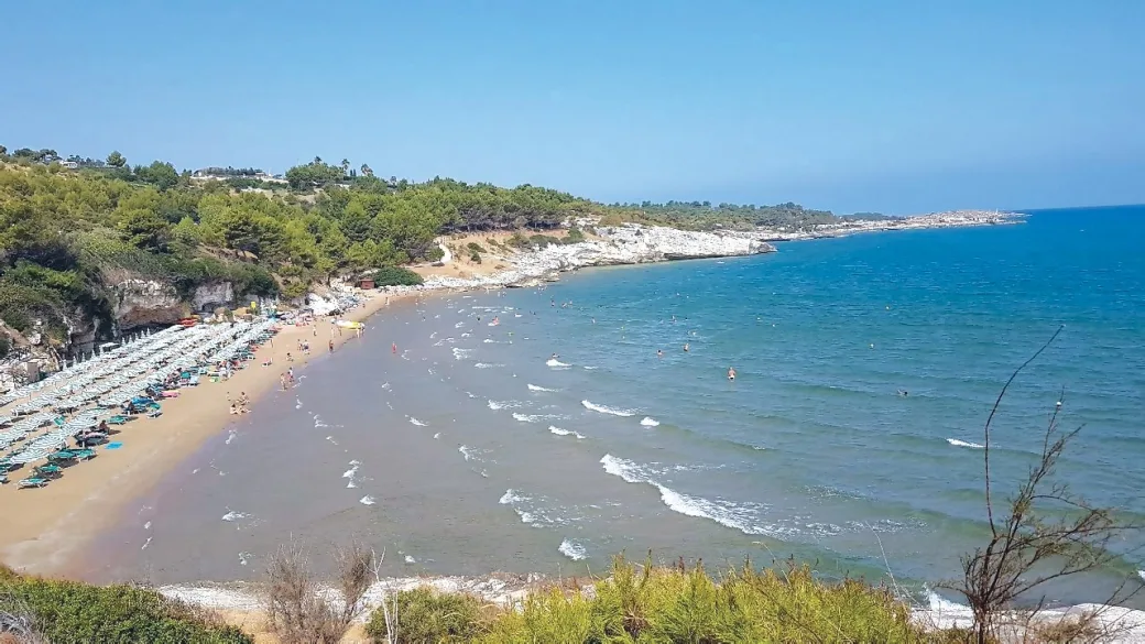 Spiaggia sabbiosa con ombrelloni e mare azzurro incorniciato da scogliere e pinete