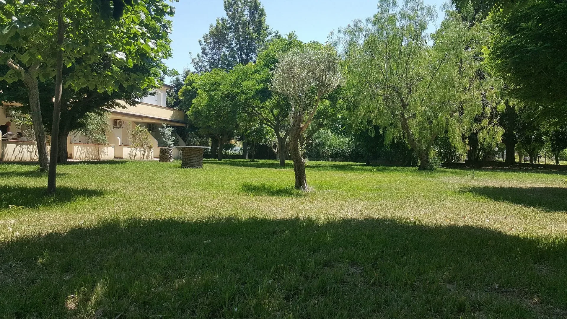 Giardino con prato verde, alberi e ulivi vicino all'edificio del resort