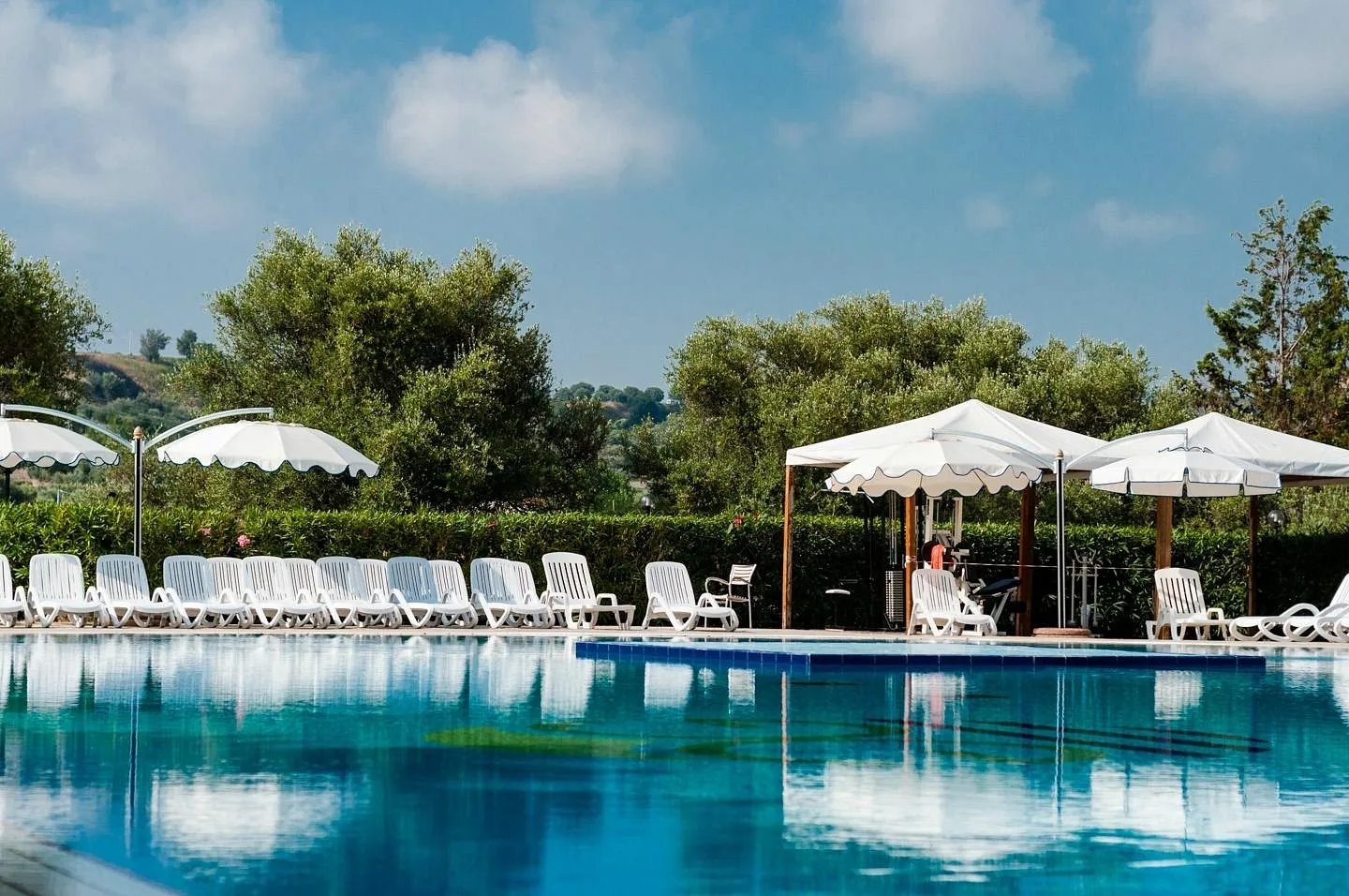 Piscina con lettini bianchi e ombrelloni circondata da ulivi