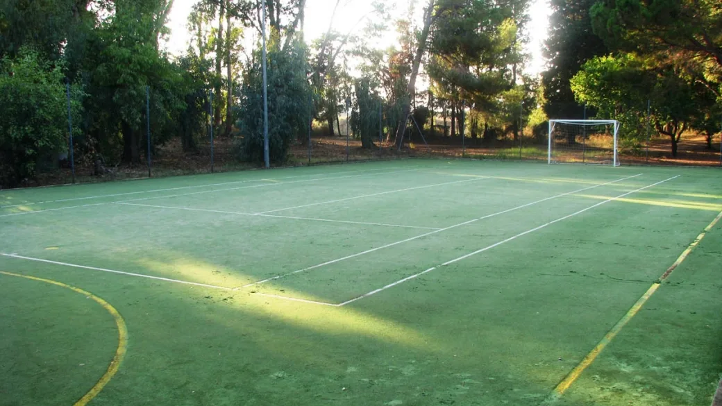 Campo sportivo polivalente in erba sintetica con porta da calcio circondato da alberi