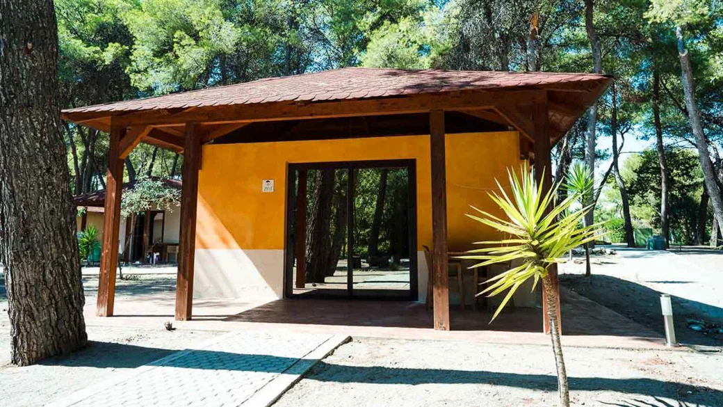 Bungalow arancione con veranda in legno immerso nella pineta