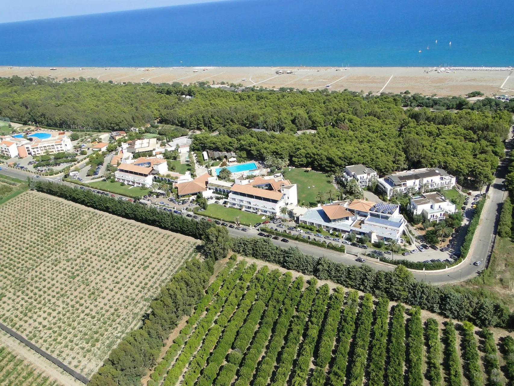 Veduta aerea del resort tra coltivazioni verdi, pineta e mare