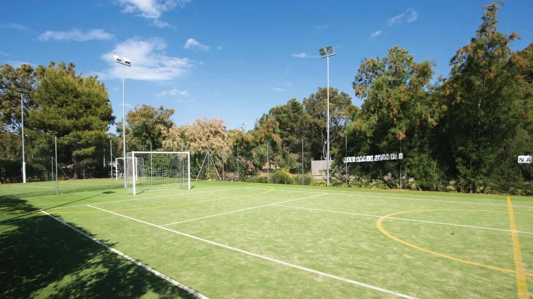 Campo sportivo in erba sintetica con porta da calcio circondato da alberi