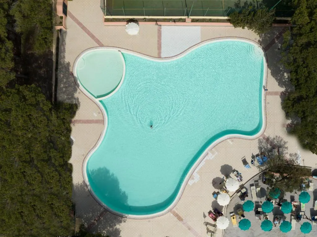 Vista dall'alto della piscina dalla forma sinuosa tra alberi e lettini