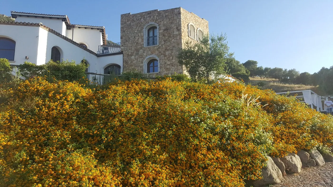 Edificio in pietra con torre circondato da cespugli fioriti arancioni