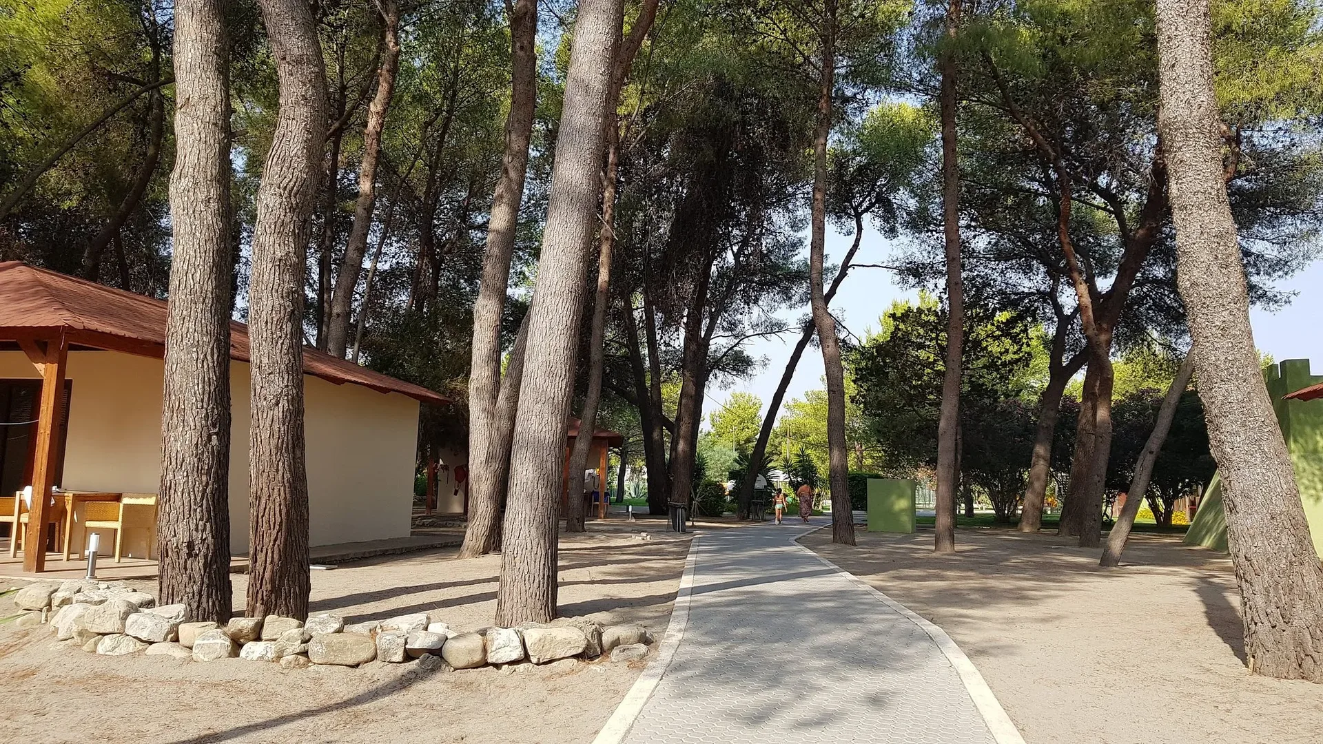 Vialetto ombreggiato tra alti pini marittimi e bungalow del villaggio