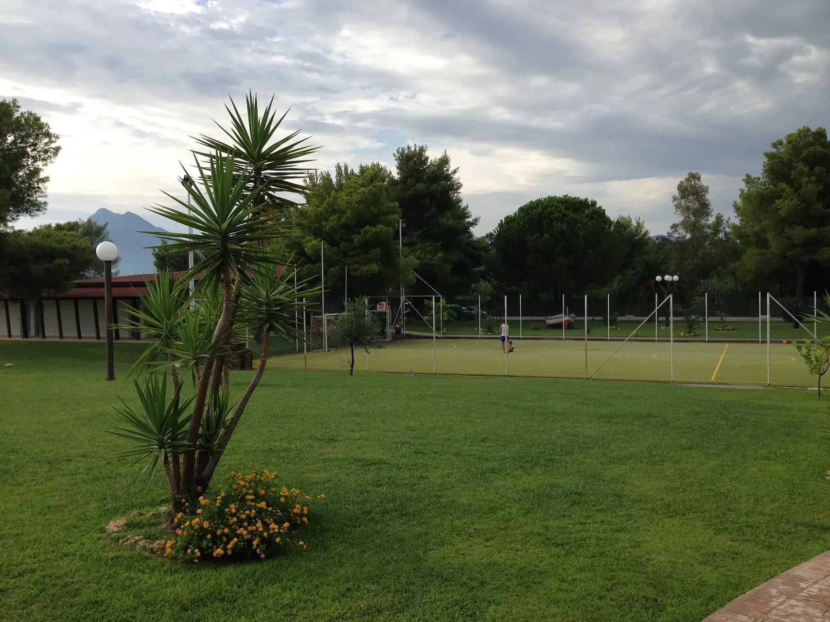 Campo sportivo polivalente circondato dal verde con palme e montagne sullo sfondo