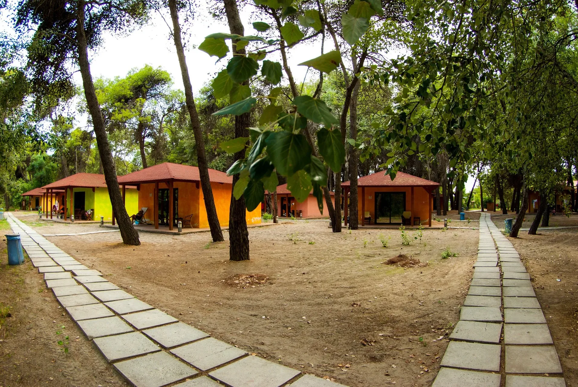 Bungalow colorati immersi nella pineta con vialetti pedonali in pietra