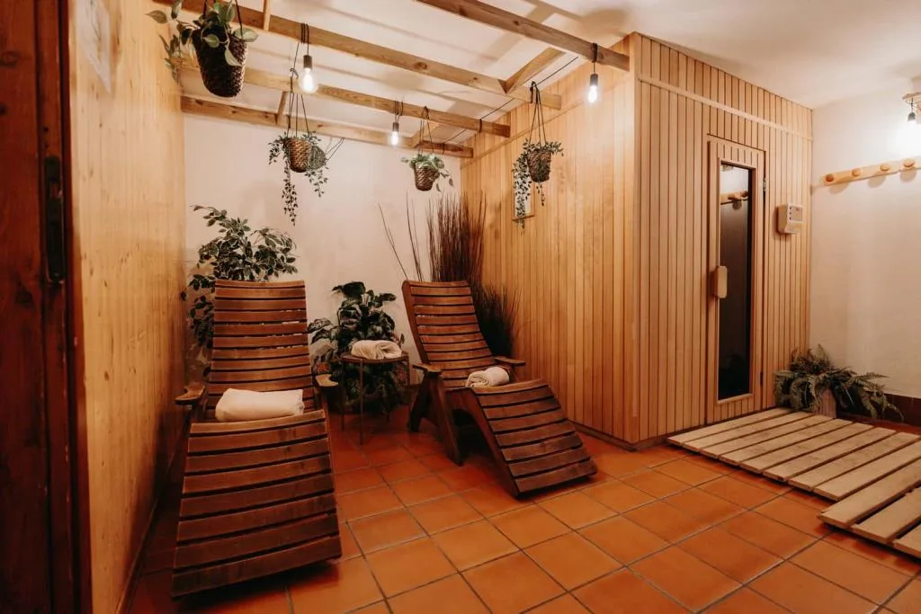 Zona relax della spa con lettini in legno, piante e sauna