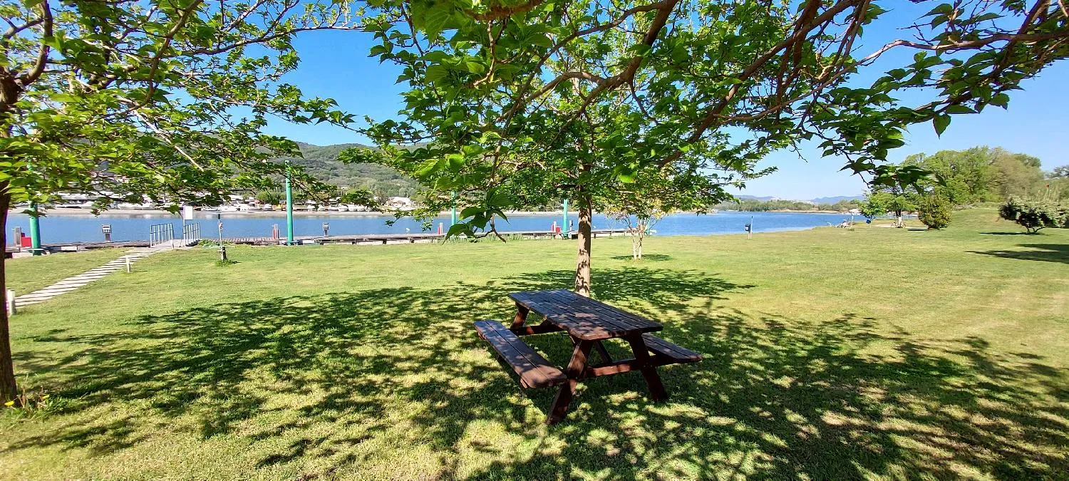 Tavolo da picnic in legno all'ombra di un albero su prato verde con vista sul lago