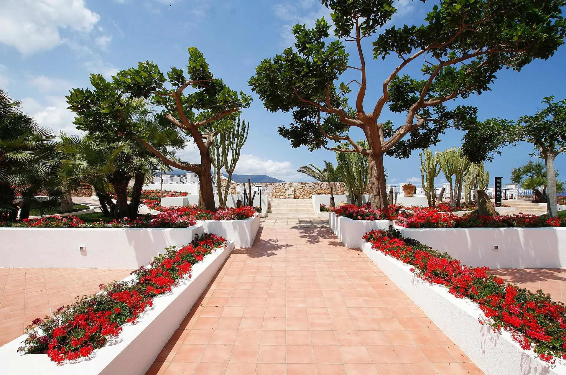 Vialetto pavimentato con aiuole fiorite rosse, alberi e piante grasse vista mare