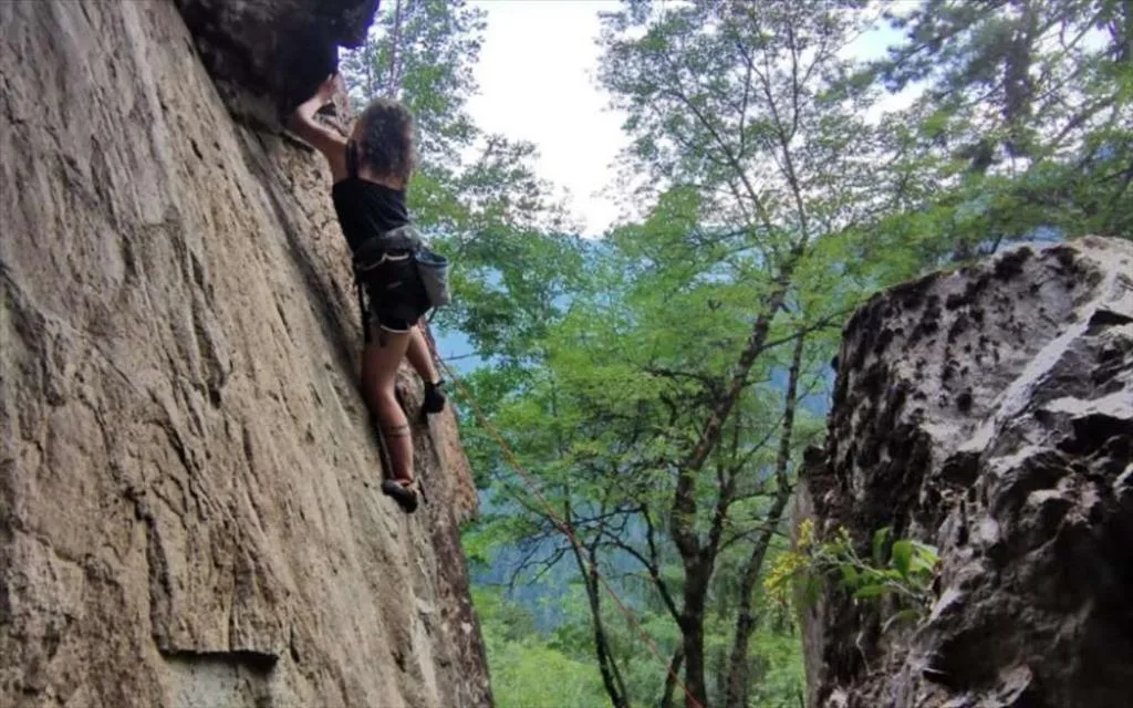 Persona che pratica arrampicata su parete rocciosa in un bosco di montagna