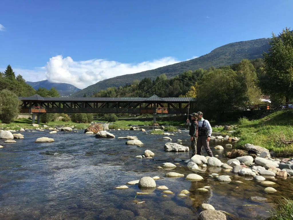 Dintorni