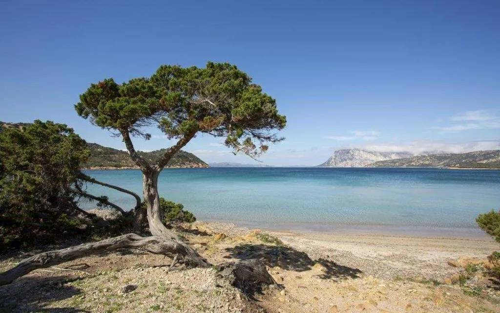 Residenze Gallura