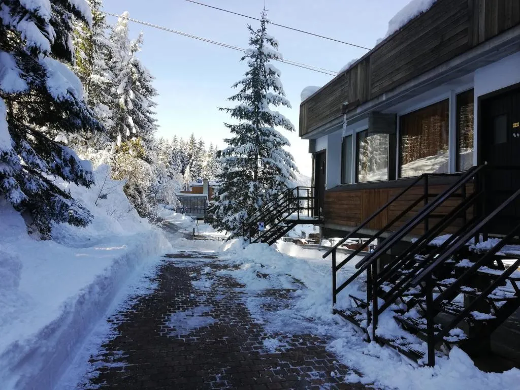Percorso pedonale in inverno con neve, abeti innevati e scale di accesso agli appartamenti