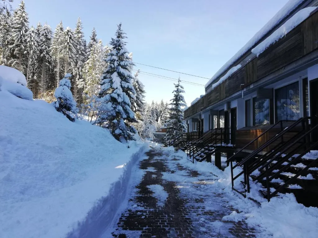 Vialetto innevato tra abeti carichi di neve e ingressi degli appartamenti con scale